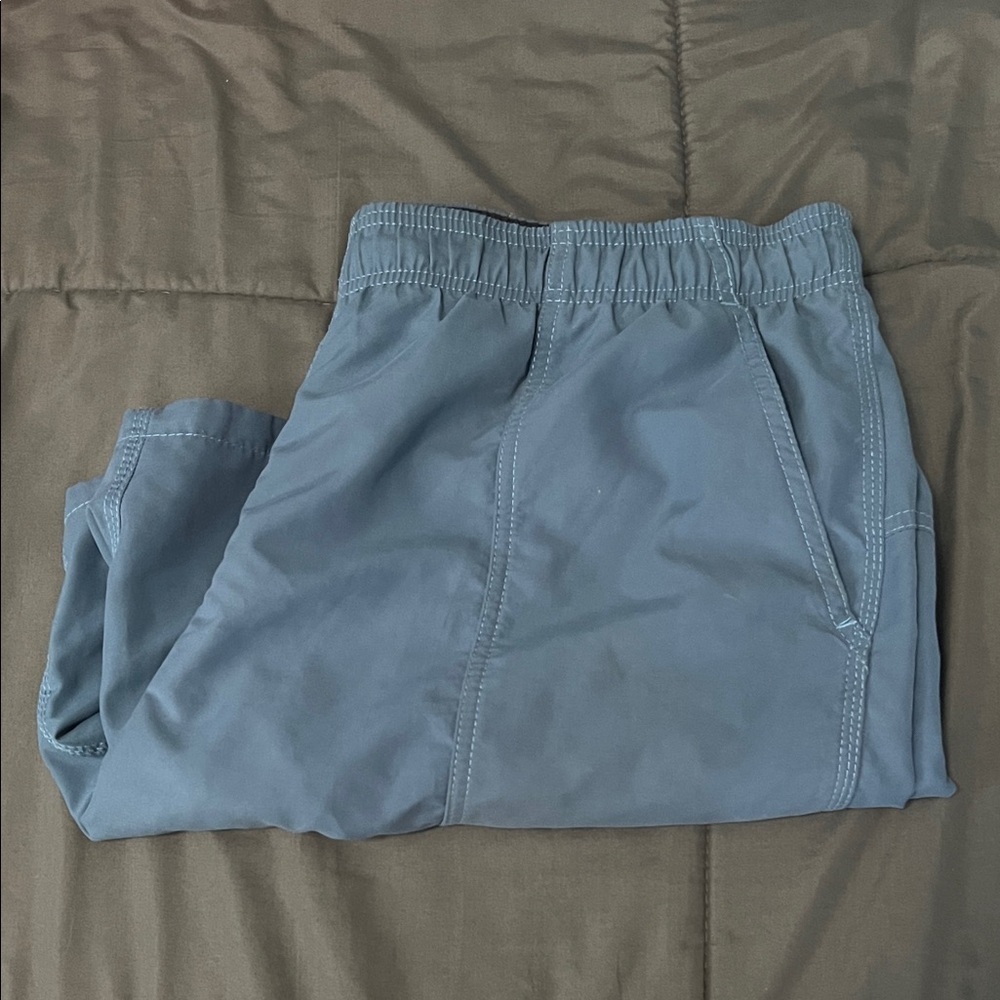 Speedo Swim Shorts Blue Size Large